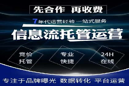 专业SEM服务公司案例分析报告